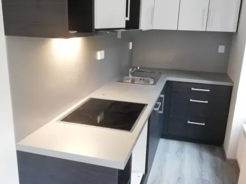 Pronájem bytu 1+kk, Chrudim - Chrudim II, Podkopanický mlýn, 30 m2