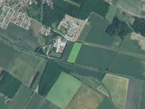 Prodej pole, Březí, 29485 m2