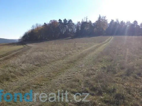 Prodej pole, Prostějovičky, 4403 m2