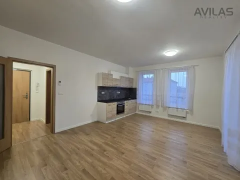 Pronájem bytu 1+kk, Benešov, 102. pluku, 33 m2
