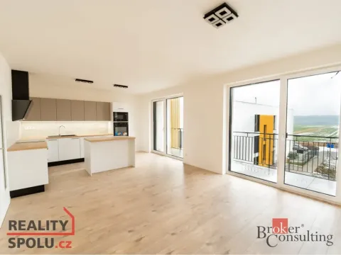 Pronájem bytu 4+kk, Plzeň - Litice, 88 m2