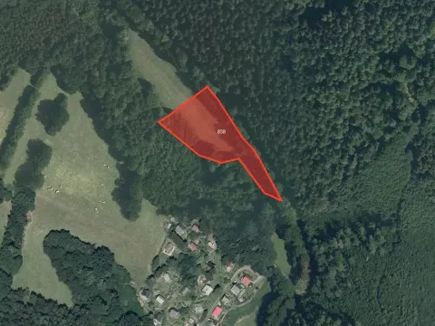 Prodej louky, Zábřeh, 13294 m2