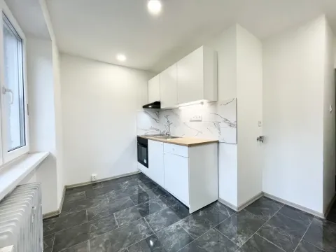 Pronájem bytu 2+1, Ústí nad Labem - Ústí nad Labem-centrum, Důlce, 54 m2