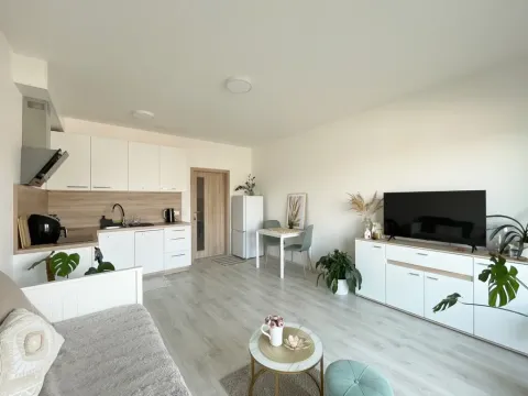 Pronájem bytu 1+kk, Olomouc, Edmunda Husserla, 29 m2