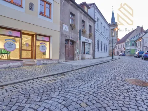 Prodej obchodního prostoru, Louny, Pivovarská, 55 m2