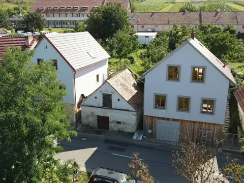 Prodej vinného sklepa, Pasohlávky, 54 m2