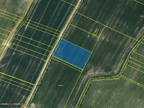 Prodej pole, Šarovy, 9623 m2