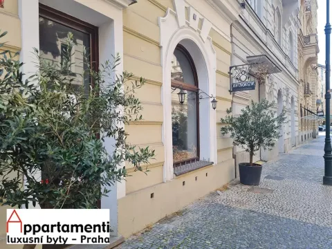 Pronájem restaurace, Praha - Staré Město, Veleslavínova, 150 m2