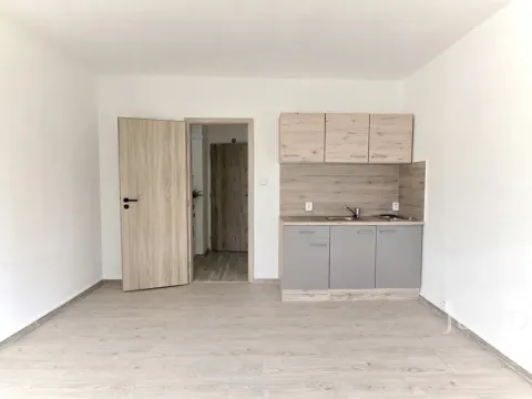 Pronájem bytu 1+kk, Ostrava - Hrabůvka, Krakovská, 22 m2