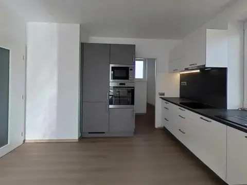 Pronájem bytu 3+kk, Rudíkov, 100 m2