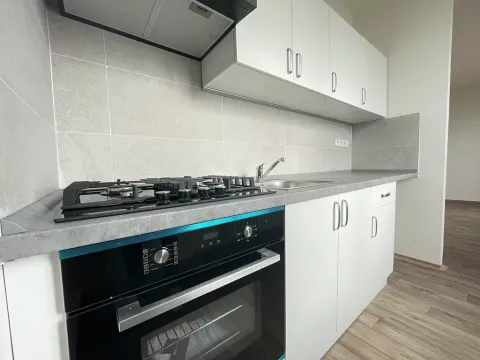 Pronájem bytu 2+1, Litvínov, Podkrušnohorská, 51 m2