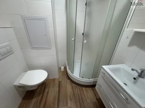 Pronájem bytu 1+1, Most, U Stadionu, 26 m2