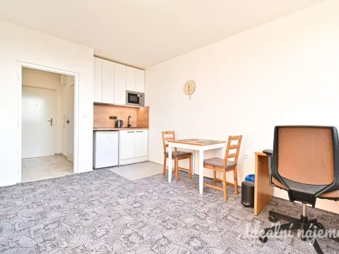 Pronájem bytu 1+kk, Brno, Halasovo náměstí, 23 m2