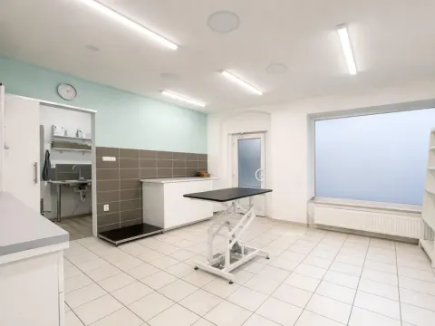 Pronájem ordinace, Mnichovo Hradiště, Masarykovo náměstí, 57 m2