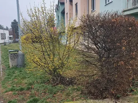 Dražba pozemku, Praha, 243 m2