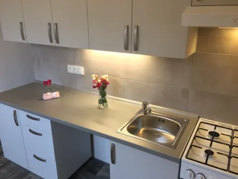 Pronájem bytu 2+1, Ostrava - Zábřeh, Patrice Lumumby, 55 m2