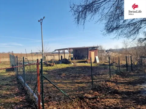 Prodej zahrady, Větrný Jeníkov, 308 m2