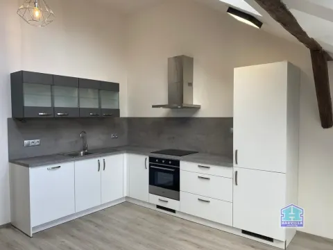Pronájem bytu 2+kk, Plzeň - Východní Předměstí, Slovanská, 59 m2