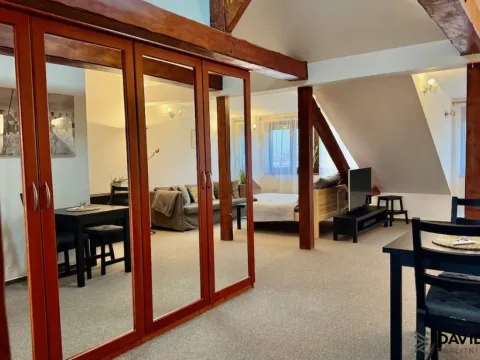 Pronájem bytu 1+kk, Brno - Veveří, Gorkého, 61 m2