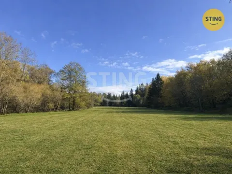 Prodej pozemku pro bydlení, Horní Planá, 5895 m2