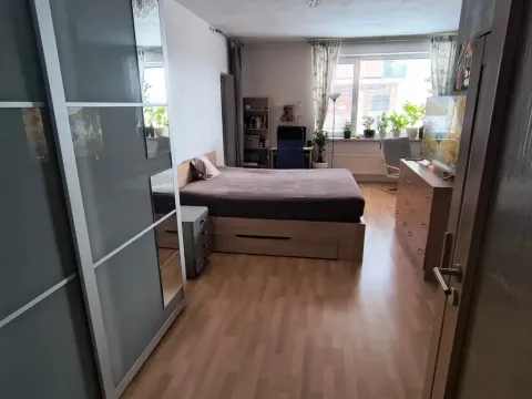 Pronájem bytu 1+kk, Brno, U Leskavy, 47 m2