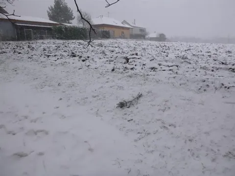 Dražba pole, Škvorec, 1638 m2