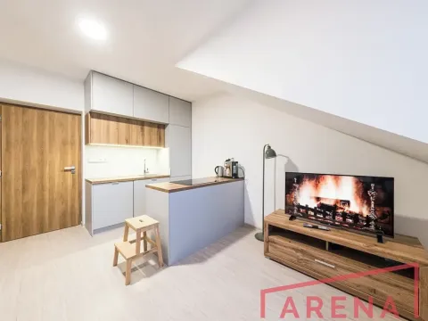 Prodej bytu 2+kk, Brno, Letní, 48 m2