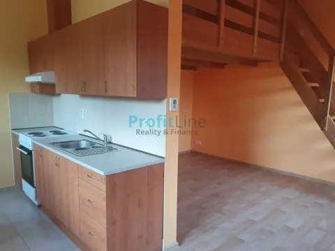 Pronájem bytu 1+kk, Zábřeh, Sušilova, 46 m2