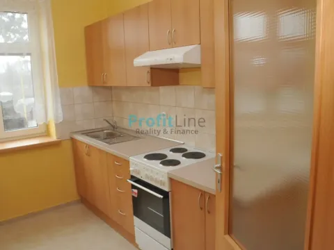 Pronájem bytu 1+1, Sudkov, 40 m2