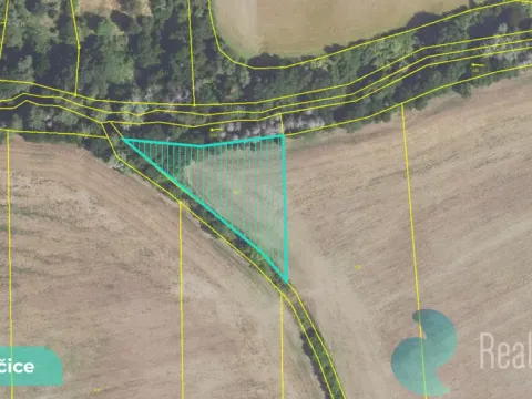 Prodej pole, Drahelčice, 2891 m2