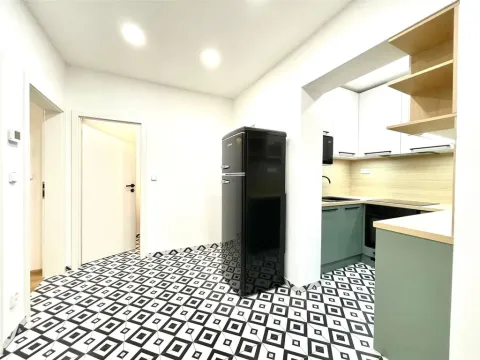 Pronájem bytu 2+1, Praha - Žižkov, Žerotínova, 50 m2