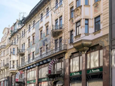 Pronájem atypického bytu, Praha, Vodičkova, 884 m2