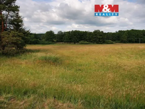 Prodej rybníku, Nový Bor - Pihel, 753 m2