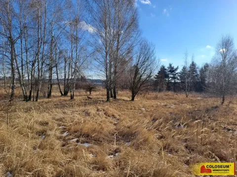 Prodej komerčního pozemku, Šafov, 15899 m2