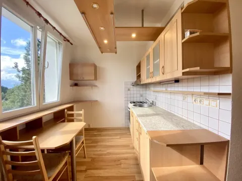 Pronájem bytu 1+1, Planá, Fučíkova, 29 m2