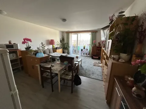 Prodej bytu 1+kk, Brno, Gajdošova, 46 m2