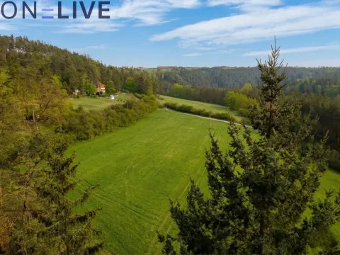 Prodej zahrady, Plasy, 2517 m2