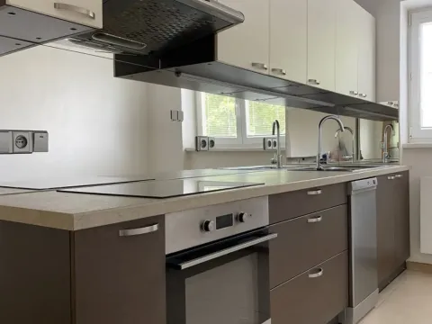 Pronájem bytu 2+1, Opava - Předměstí, náměstí Slezského odboje, 60 m2