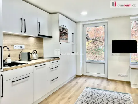 Prodej bytu 1+kk, Jáchymov, K Lanovce, 32 m2