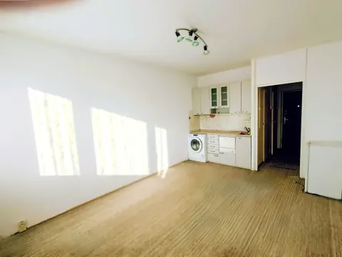 Prodej bytu 1+kk, Praha - Záběhlice, Narcisová, 25 m2