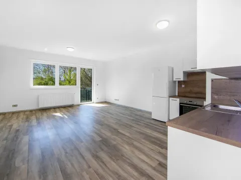 Pronájem bytu 2+kk, Plzeň - Severní Předměstí, Bolevecká, 58 m2