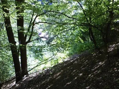 Dražba louky, Děčín, 675 m2