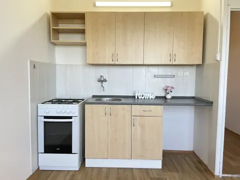 Pronájem bytu 1+1, Litvínov, Mládežnická, 38 m2