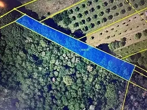 Prodej lesa, Březolupy, 1340 m2