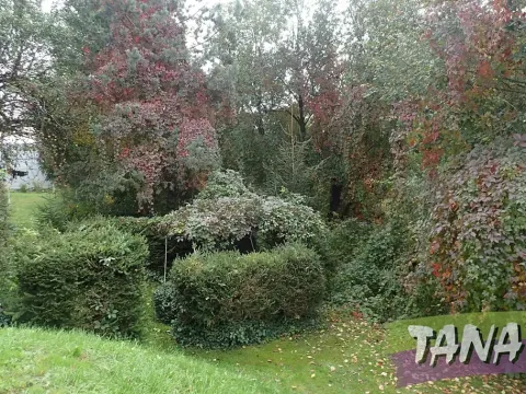 Prodej podílu pozemku pro bydlení, Mladějov, 382 m2