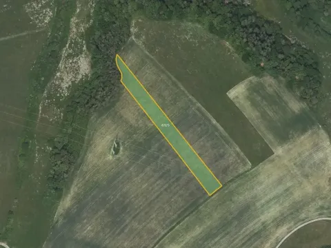 Prodej pole, Březová, 5768 m2