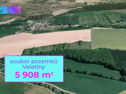 Prodej pole, Veletiny, 5908 m2