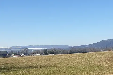 Prodej louky, Police nad Metují, 17068 m2