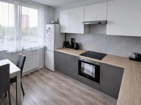 Pronájem bytu 3+1, Most, Růžová, 56 m2