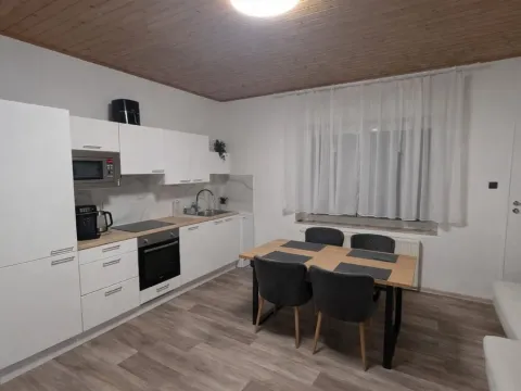 Pronájem bytu 2+1, Ústí nad Labem - Střekov, Železničářská, 67 m2